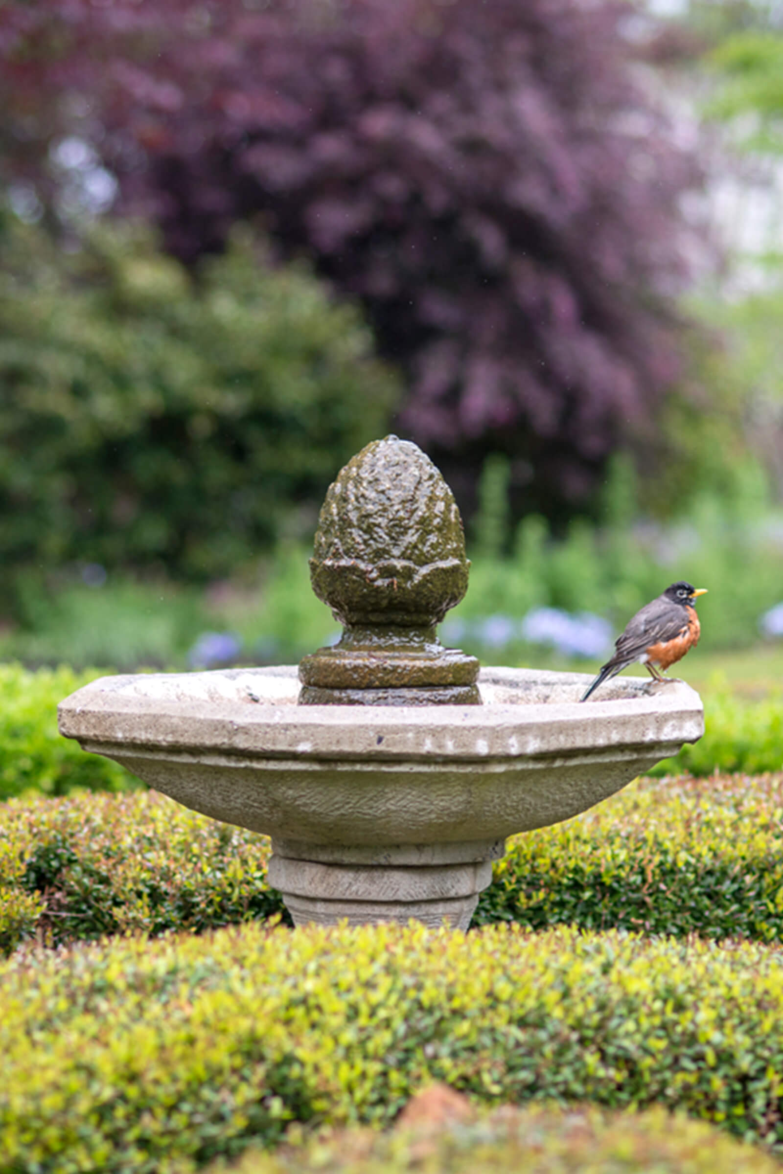 bird fountain