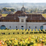 chateau angelus property