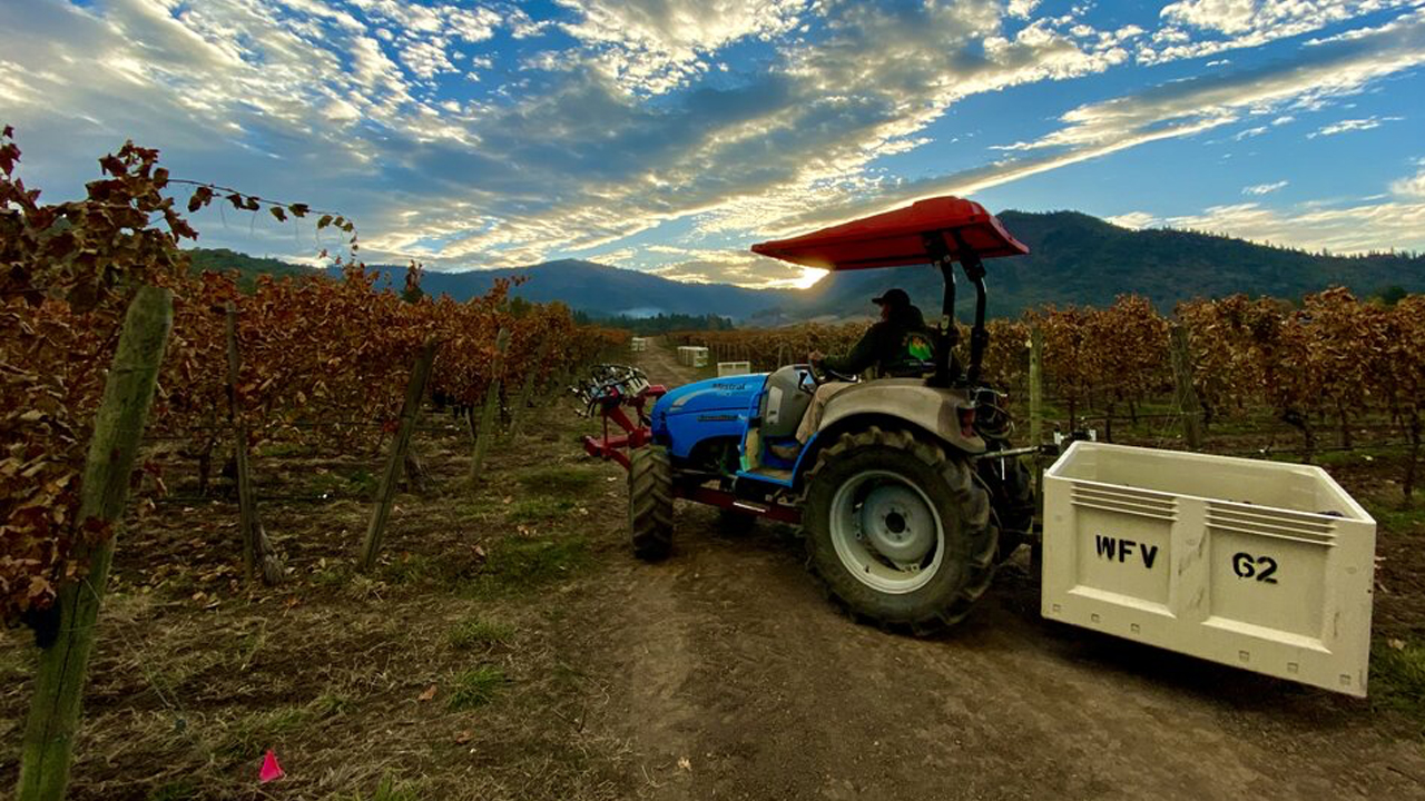 troon vineyards