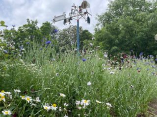 The famous whirligigs are a whimsical welcome to your Wednesday! Swing by the Village for shopping, lunch, perhaps a spa treatment...the possibilities are endless and you deserve a mid-week pick-me-up! ​​​​​​​​ ​​​​​​​​ ​​​​​​​​ #fearrington #fearringtonnc #fearringtonvillageshopping #fearringtonvillage #shoplocal #shoplocalraleigh #shoplocalnc #nc #northcarolina #familyowned #independent #bookstore #boutique #market @mcintyresbooks @dovecote_nest_sprout @fearrington_beltedgoat @spa_at_fearrington @fearringtonrealestate_living @relaischateaux