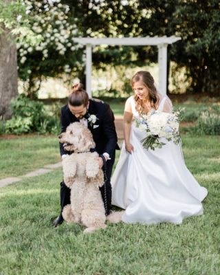 Are you going to include your favorite furry friend in your special day?​​​​​​​​
​​​​​​​​
​​​​​​​​
Photo: @theaxtellsphotofilms​​​​​​​​
​​​​​​​​
​​​​​​​​
#canine #weddingday #dog #dogsofinstagram #weddingdogs #dogsatweddings #furryfriend #socute #furbaby #fearrington #fearringtonvillage #fearringtonevents #fearringgtonweddings @fearrington_house