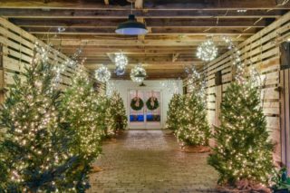 If you haven't gotten into the holiday spirit, might we kindly suggest a visit to Fearrington Village?​​​​​​​​
​​​​​​​​
​​​​​​​​
#holiday #holidays #holidayspirit #christmas #christmastrees #magic #winter #barn #relaischateaux #fearrington #fearringtonvillage #fearringtonhouse @relaischateaux