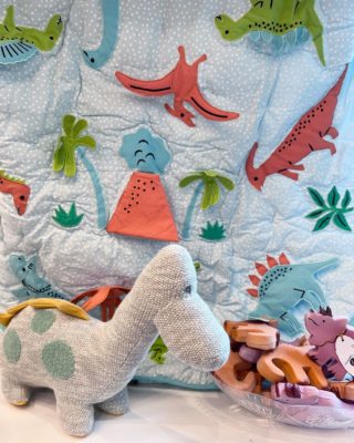 If you've got a dino lover in your house, we've got a really selection of toys, blankets, books, and more! ​​​​​​​​
​​​​​​​​
​​​​​​​​
#dino #dinosaurs #kids #children #cute #kidssection #toys #books #fun #family #cute #baby #sweet #whimsy #fearrington #fearringtonnc #fearringtonvillage #fearringtonkids @fearrington_house