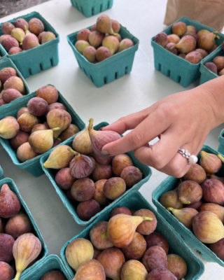 In-season figs are everywhere! ​​​​​​​​
​​​​​​​​
From the farmer's market to your plate, what's your favorite way to eat this tasty summer fruit? ​​​​​​​​
​​​​​​​​
​​​​​​​​
#fig #gettingfiggywithit #food #foodie #trianglefoodies #carolinafoodie #relaischateaux #raleigheats #chapelboro #visitnc #visitchathamnc #fearringtonhouse #fearrington #fearringtonvillage #fearringtonnc #northcarolina #nc #yum #delicious #gourmet #tasty #raleigh #durham #chapelhill #briarchapel #neighborhoodspot #bar #cocktail #wine #dinner @relaischateaux