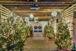 A winter wedding in the barn is pure magic ​​​​​​​​
​​​​​​​​
​​​​​​​​
#barn #barnwedding #winterwedding #holidaywedding #festivewedding #christmastree #lights #twinklylights #holidayvibes #festive #tistheseason #northcarolina #nc #ncwedding #northcarolinawedding #cozy #fearrington #fearringtonweddings #fearringtonevents @fearrington_house @relaischateaux